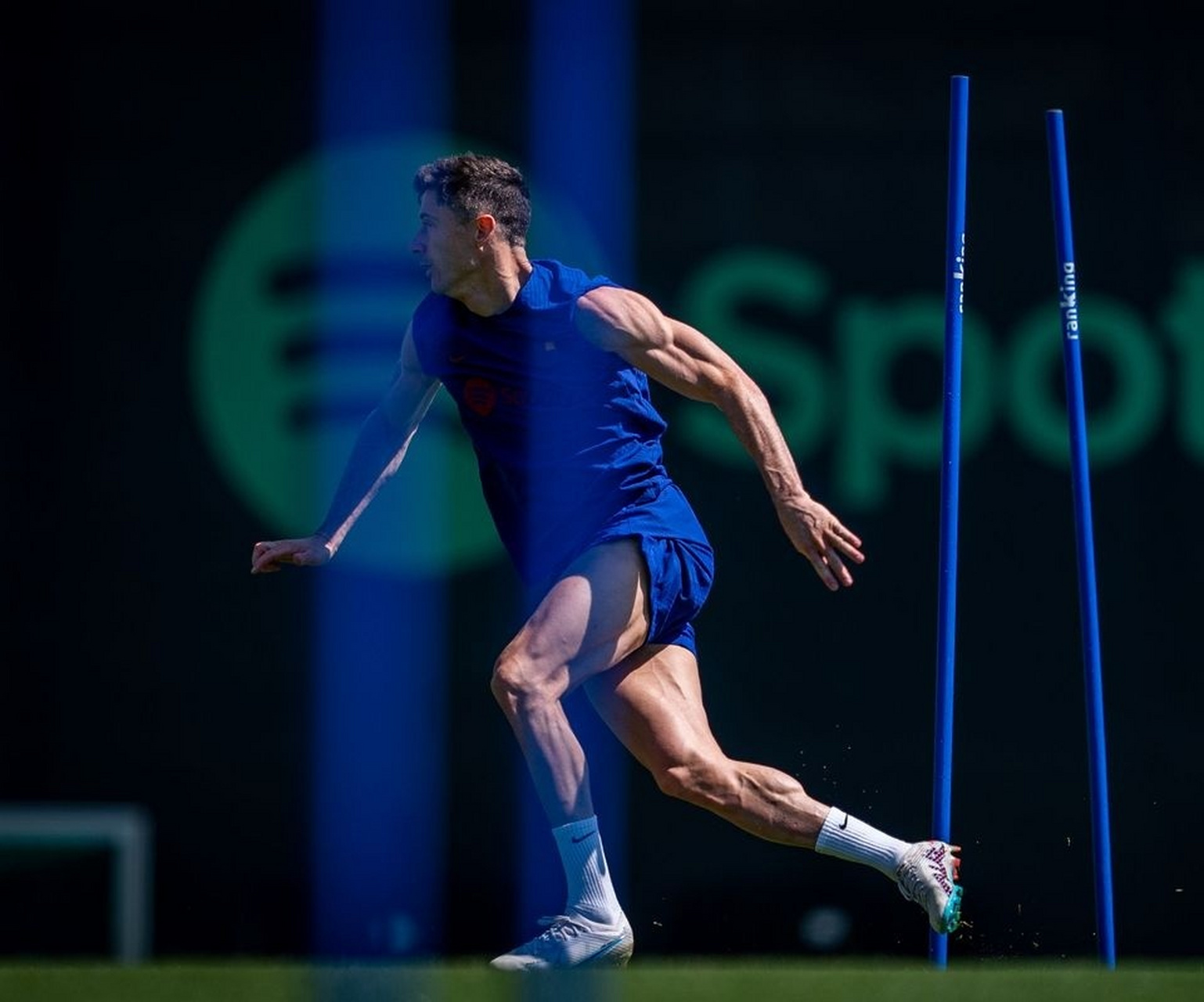 九游- 莱万多夫斯基什么水平 